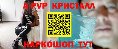 гашик Дубна