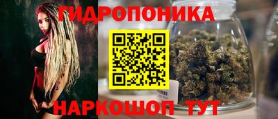 гашик Дубна