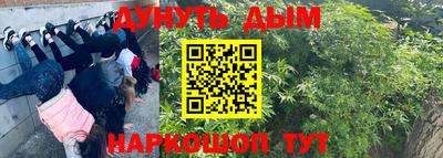 гашик Дубна