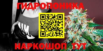 гидра Донецк