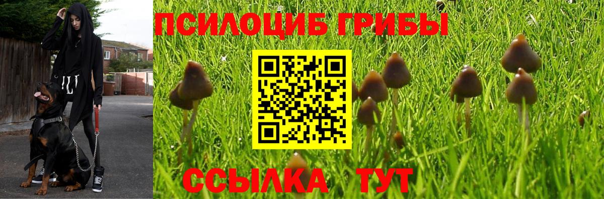 Краснокаменск  Псилоцибиновые грибы Magic Shrooms  Вход с VPN 